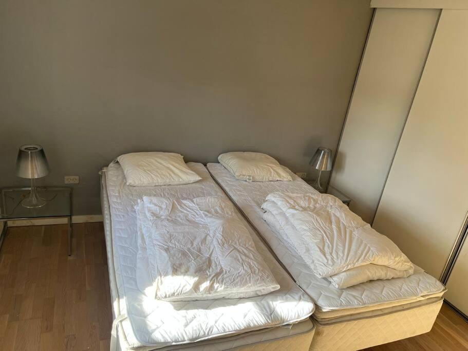 Dejligt Stort Hus Med Spa Ålbæk Extérieur photo