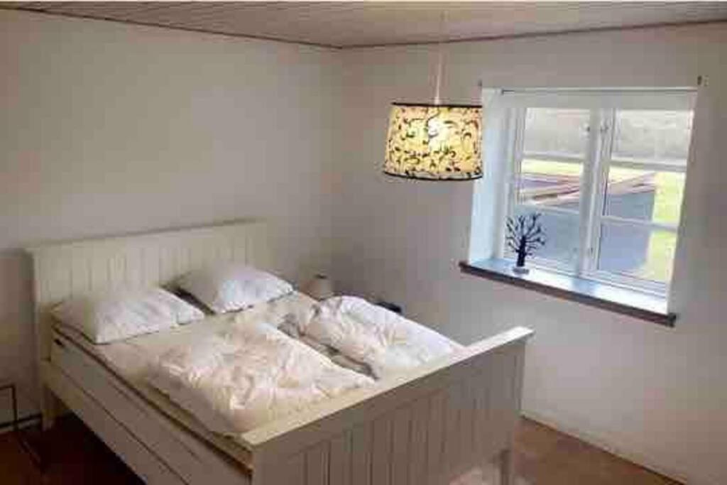Dejligt Stort Hus Med Spa Ålbæk Extérieur photo